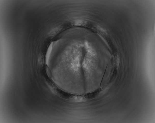 X0000084560272200703231806