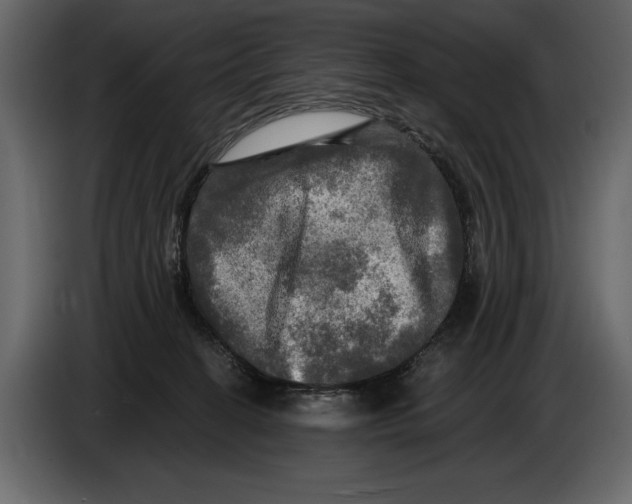 X0000084560274200703231806