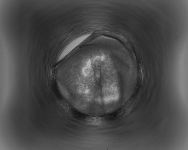 X0000084560276200703231806