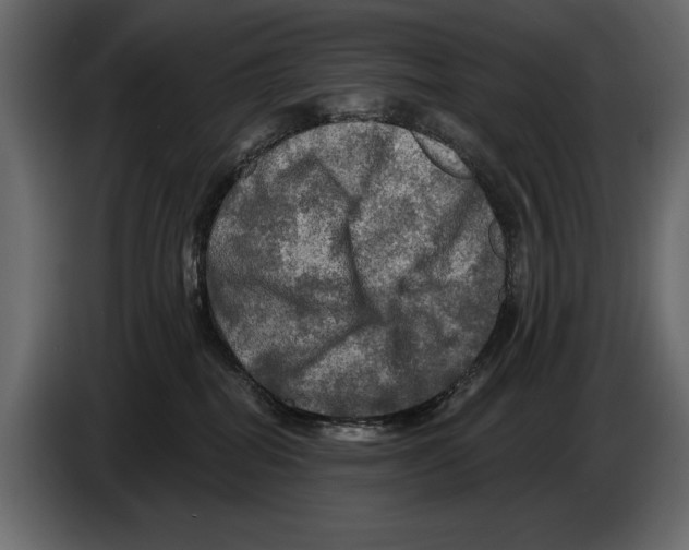 X0000084560282200703231806