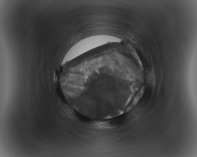 X0000084560283200703231806