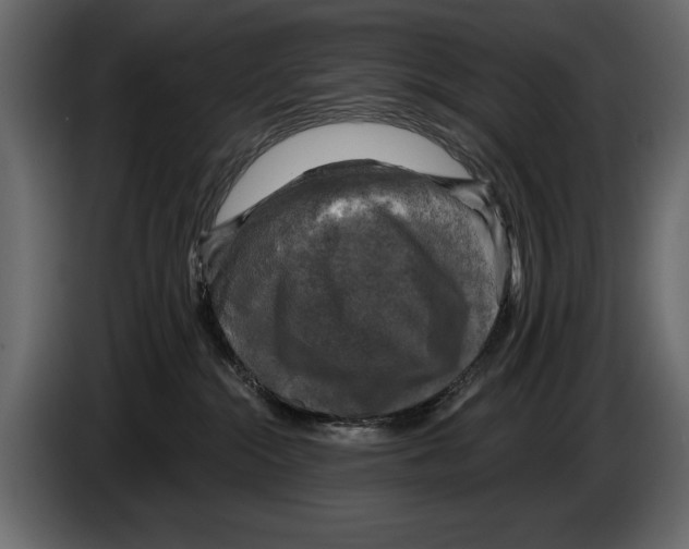 X0000084560284200703231806