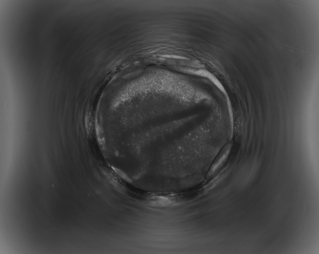 X0000084560285200703231806