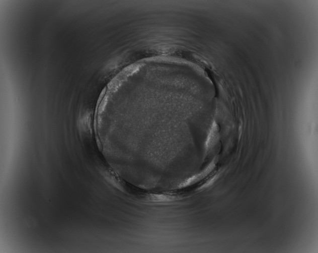 X0000084560286200703231806