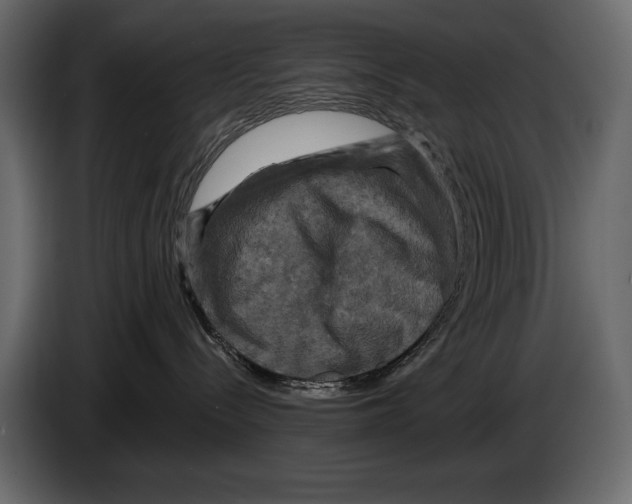 X0000084560288200703231806