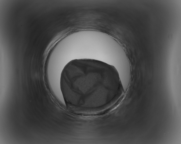 X0000084560293200703231805