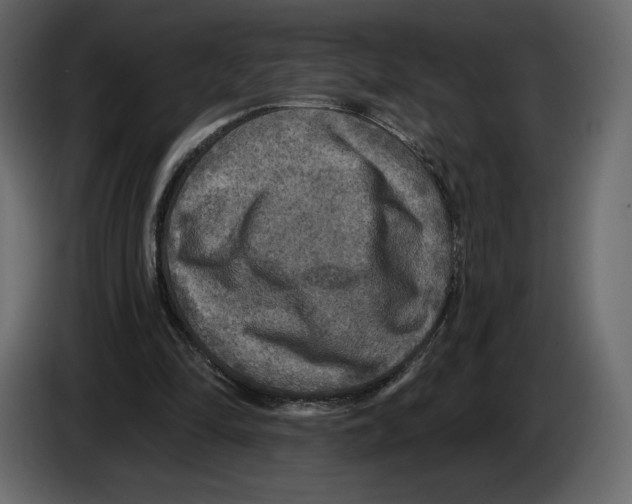 X0000084560294200703231805