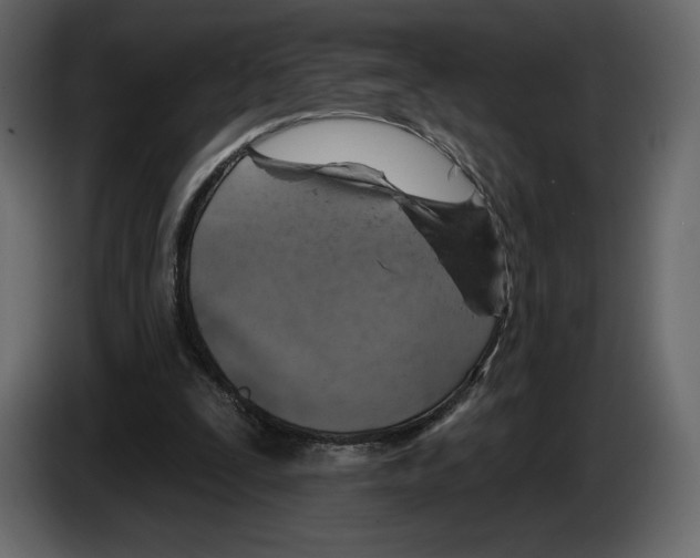 X0000084560295200703231805