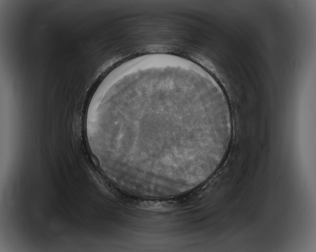 X0000084560297200703231805