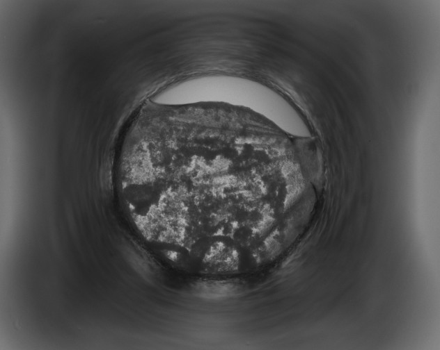 X0000084560299200703231805