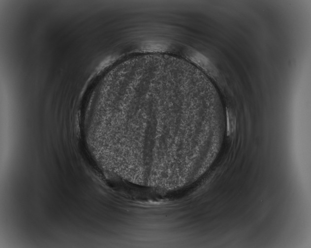 X0000084560300200703231805