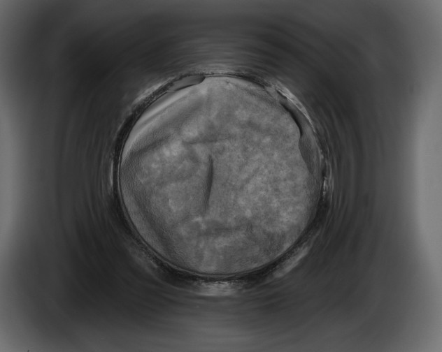 X0000084560301200703231805