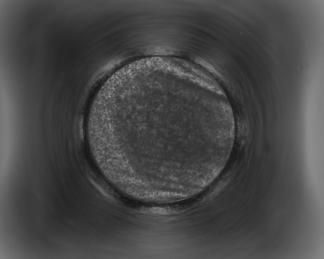 X0000084560302200703231805