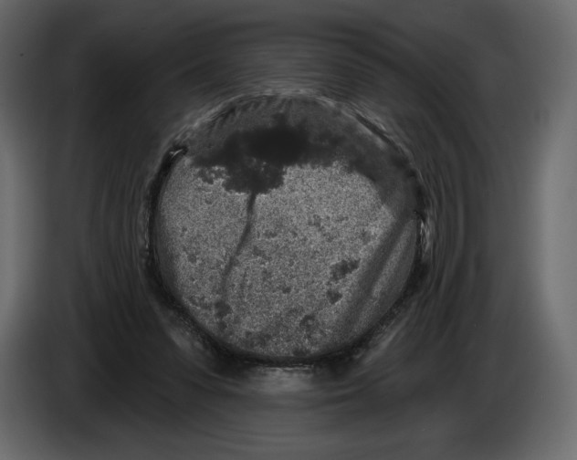 X0000084560303200703231805