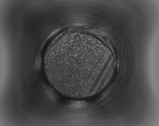 X0000084560304200703231805