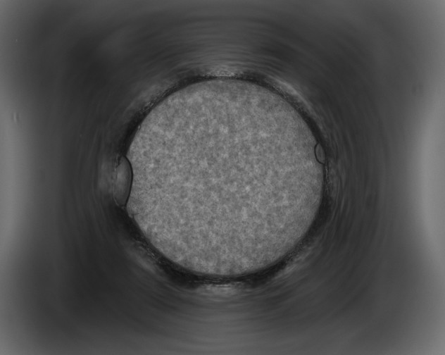 X0000084560307200703231805