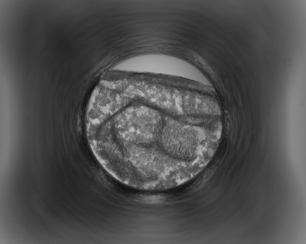 X0000084560313200703231805