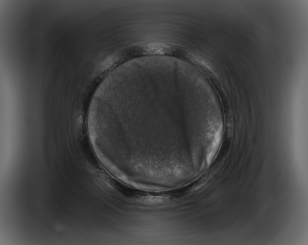 X0000084560314200703231805