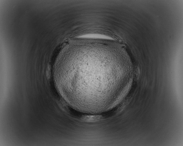 X0000084560323200703231805