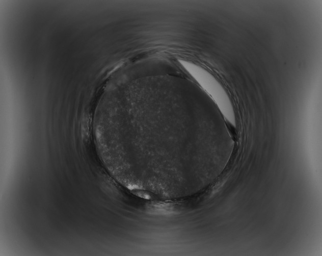 X0000084560325200703231805