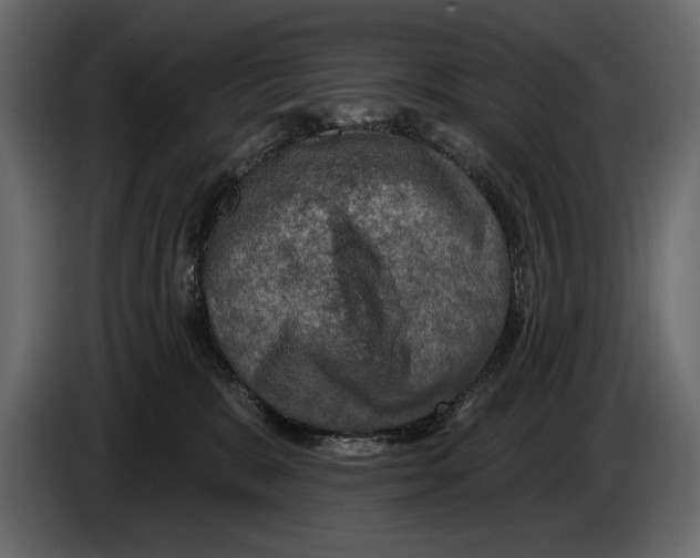 X0000084560327200703231805