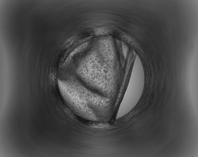 X0000084560329200703231805