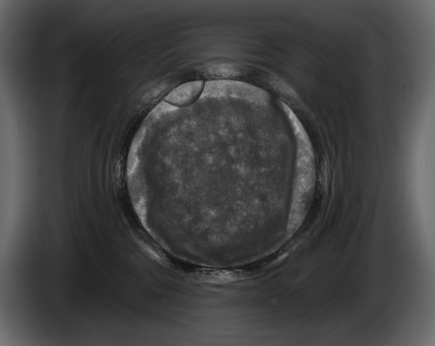 X0000084560330200703231805