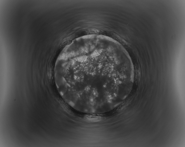 X0000084560331200703231805