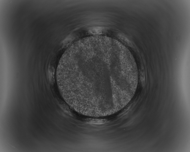 X0000084560332200703231805