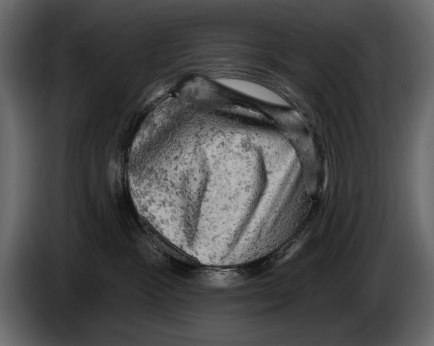 X0000084560333200703231805