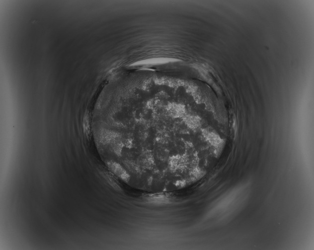 X0000084560335200703231805