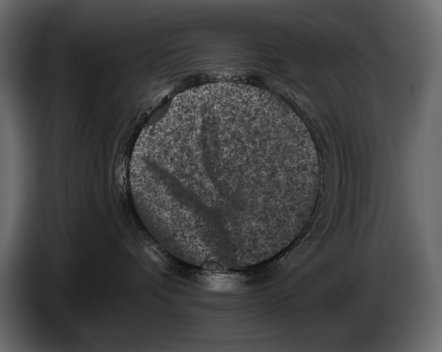 X0000084560336200703231805