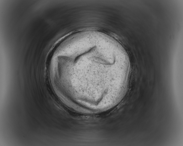 X0000084560338200703231804