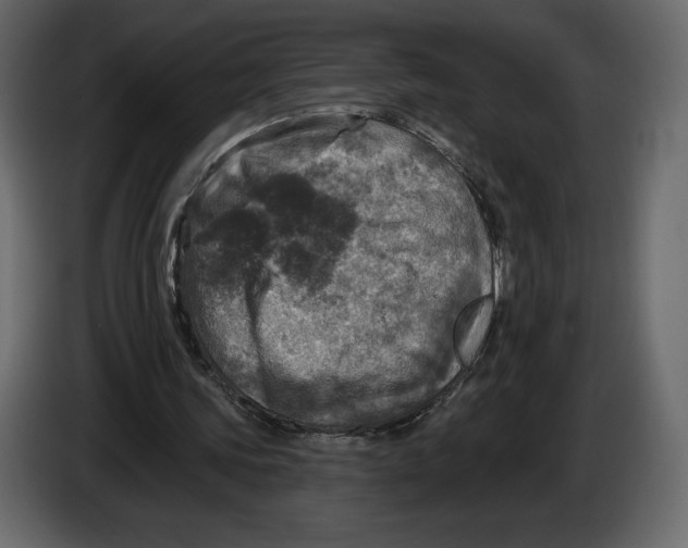 X0000084560339200703231804