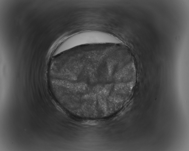 X0000084560341200703231804