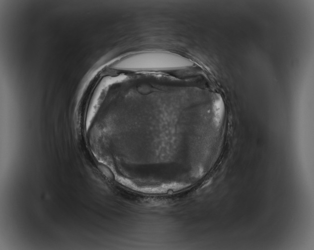 X0000084560343200703231804