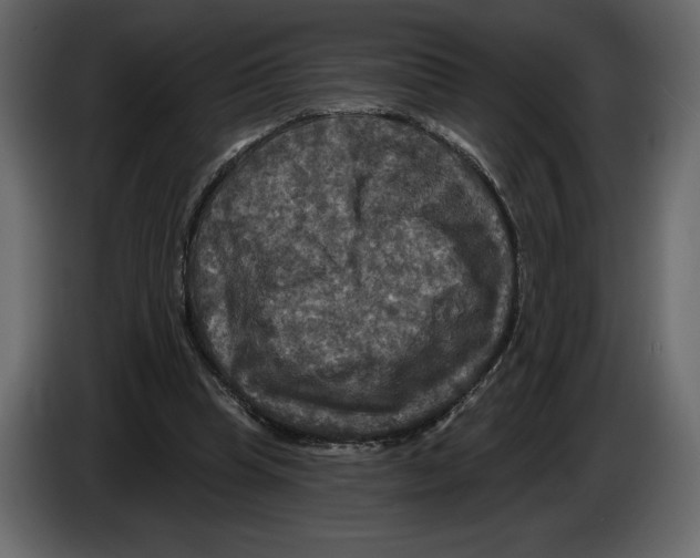 X0000084560345200703231804