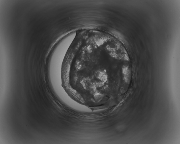 X0000084560346200703231804