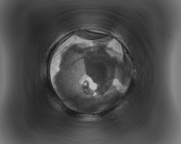 X0000084560347200703231804