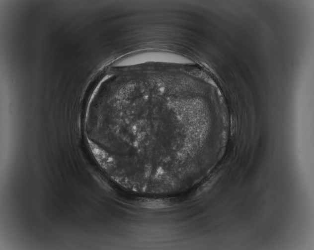 X0000084560349200703231804