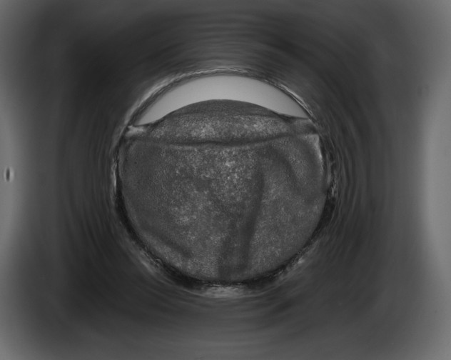 X0000084560350200703231804