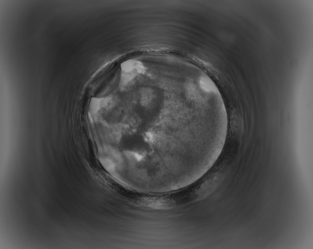 X0000084560351200703231804