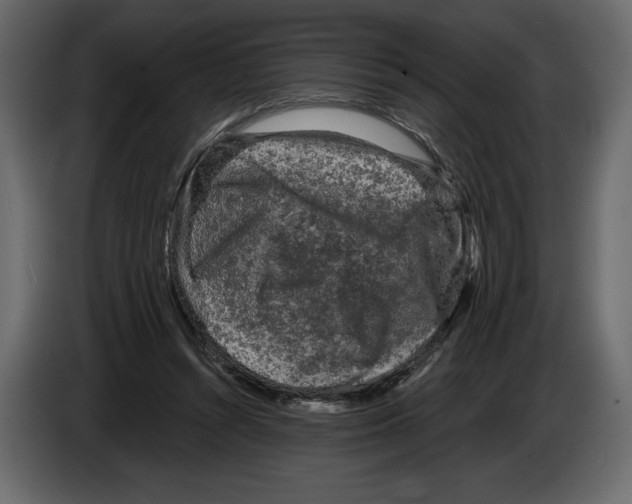 X0000084560352200703231804