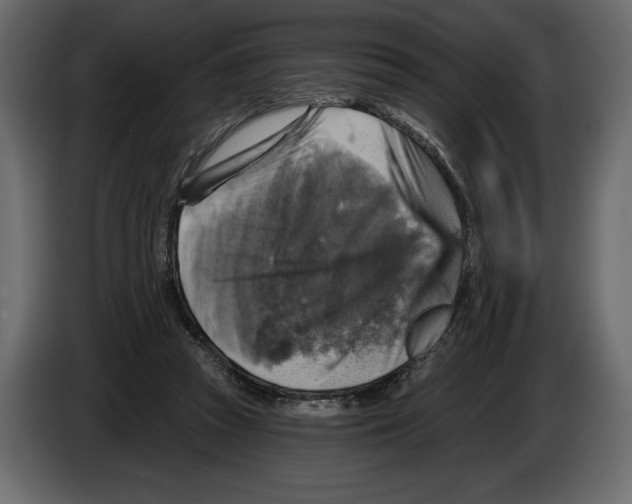 X0000084560353200703231804