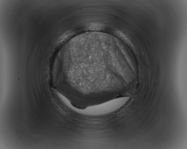 X0000084560354200703231804