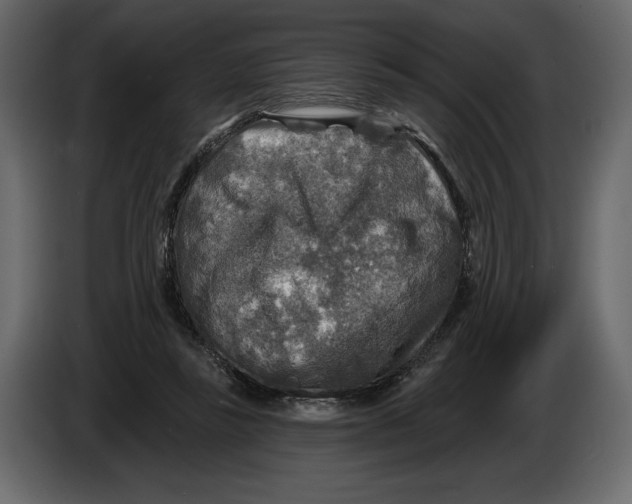 X0000084560355200703231804