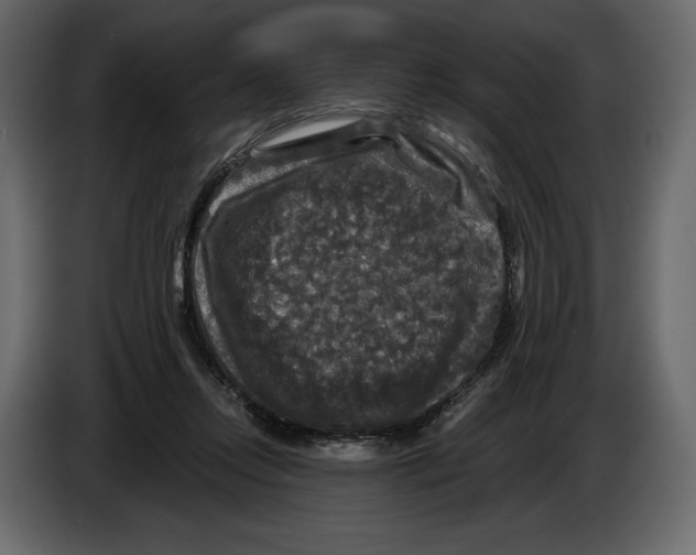 X0000084560358200703231804