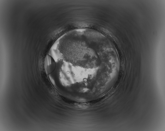 X0000084560359200703231804