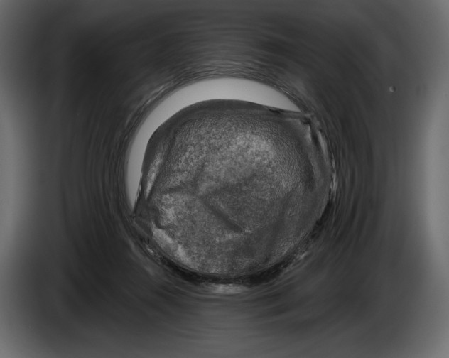 X0000084560360200703231804