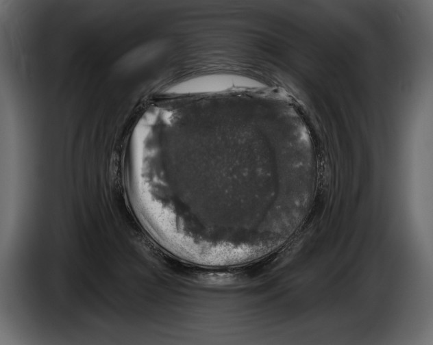 X0000084560361200703231804